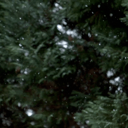 Glyk Fir Needel Jóla ilmkerti 220g